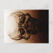 Skull-Studie Postkarte (Vorderseite)