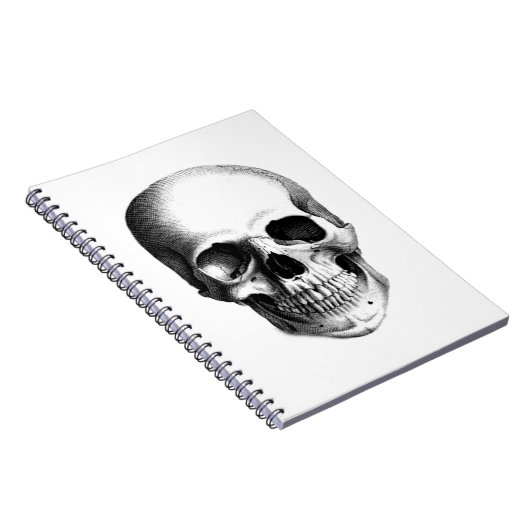 SKULL ... TAGEBUCH (Rechte Seite)
