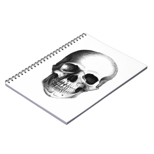 SKULL ... TAGEBUCH (Linke Seite)