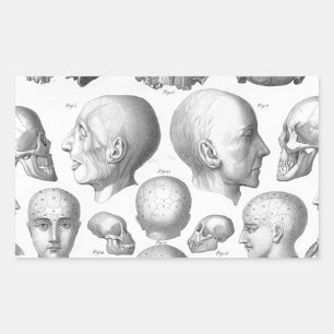 Skull-Typen Rechteckiger Aufkleber