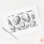 Skull-Typen Rechteckiger Aufkleber (Umschlag)