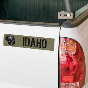 SKULL VON IDAHO AUTOAUFKLEBER