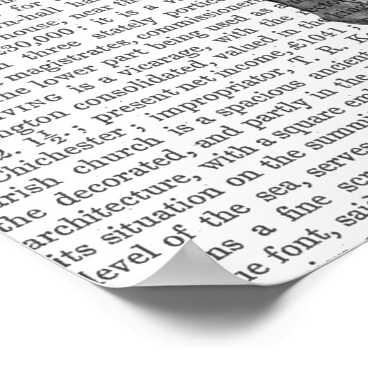 Skull with Blue Hat Poster (Ecke)