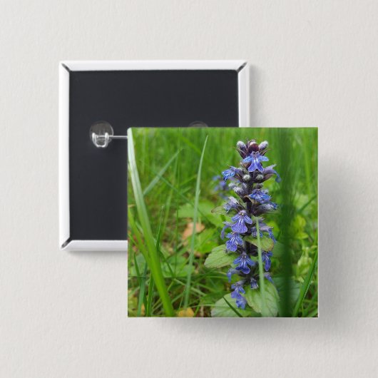 Skullcap Violet Wild Blume Button (Vorne & Hinten)