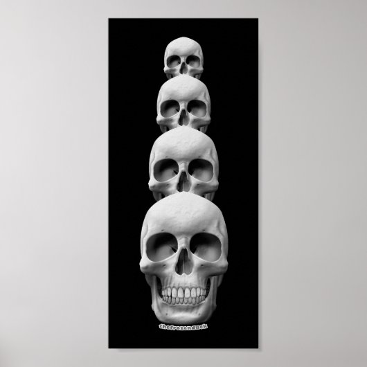 Skulls - Vertikal Poster (Vorne)