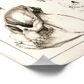 Skulls von Affen tierärztliche Anatomie Print Poster (Ecke)