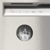 Skully Top Fun Magnet (In Situ (Geschirrspüler))