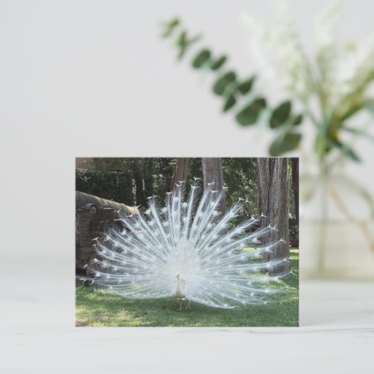 Skully Top Fun Postkarte (Stehend Vorderseite)