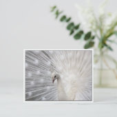 Skully Top Fun Postkarte (Stehend Vorderseite)