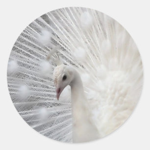 Skully Top Fun Runder Aufkleber