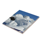 Skulptur des Polarbärensschnees, Quebec, Kanada Fliese (Seite)