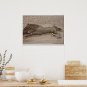 Skulptur Pferd drucken Poster (Küche)