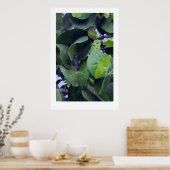 Skulpturale Blätter Poster (Küche)