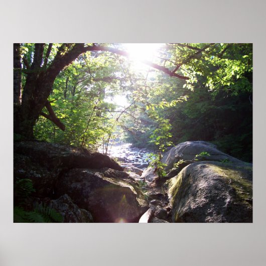 Skulpturengestein Poster (Vorne)