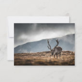 Skulpturenkarte (Vorderseite)