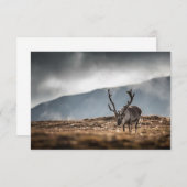 Skulpturenkarte (Vorne/Hinten)