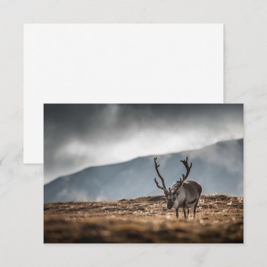 Skulpturenkarte (Vorne/Hinten)