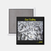 Skulpturenmagnet Magnet (Vorderseite/Rückseite)