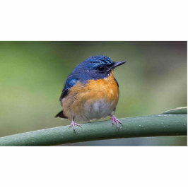 Skulpturmagnet des Fotos 2x3 Fotoskulptur Magnet