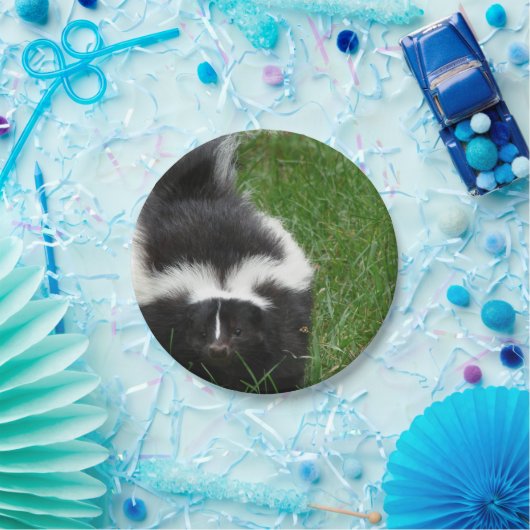 skunk-2 pappteller (Party)