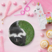 skunk-2 pappteller (Party)