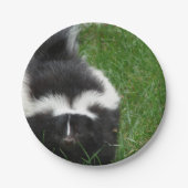 skunk-2 pappteller (Vorderseite)