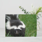 Skunk auf Einladung (Stehend Vorderseite)