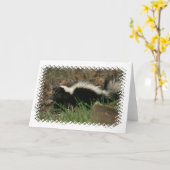 Skunk Behavior Grußkarte Karte (Gelbe Blume)