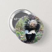 Skunk Black and White Button (Vorne & Hinten)