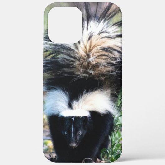 Skunk Black and White Case-Mate iPhone Hülle (Rückseite)