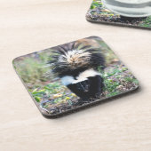 Skunk Black and White Getränkeuntersetzer (Linke Seite)