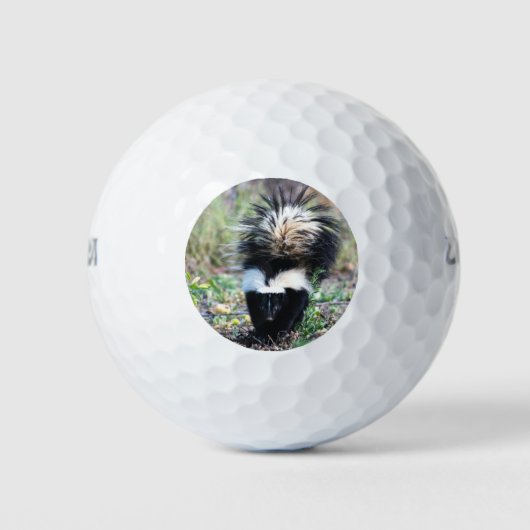 Skunk Black and White Golfball (Vorderseite)