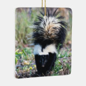 Skunk Black and White Keramikornament (Rechts)