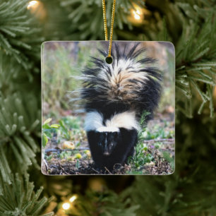 Skunk Black and White Keramikornament