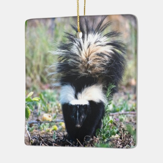 Skunk Black and White Keramikornament (Links)
