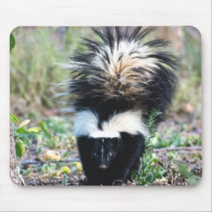 Skunk Black and White Mousepad