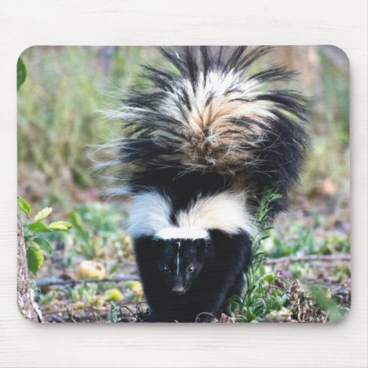 Skunk Black and White Mousepad (Vorne)