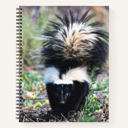 Skunk Black and White Notizblock (Vorderseite)