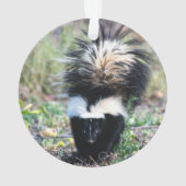 Skunk Black and White Ornament (Rückseite)