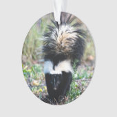 Skunk Black and White Ornament (Vorderseite)