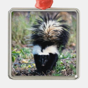 Skunk Black and White Ornament Aus Metall