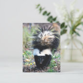 Skunk Black and White Postkarte (Stehend Vorderseite)