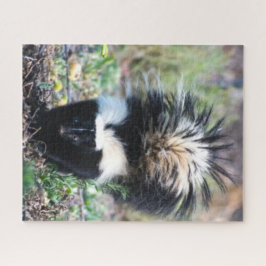 Skunk Black and White Puzzle (Horizontal)