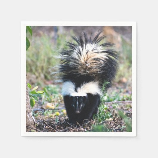 Skunk Black and White Serviette (Vorderseite)