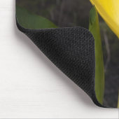 Skunk Cabbage Blossom - Mousepad (Ecke)