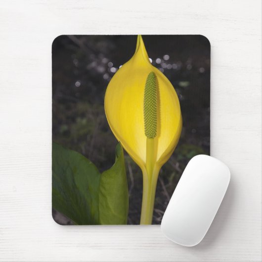 Skunk Cabbage Blossom - Mousepad (Mit Mouse)