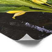Skunk Cabbage - Kunstdrucken Poster (Ecke)