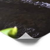 Skunk Cabbage - Kunstdrucken Poster (Ecke)