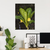 Skunk Cabbage - Kunstdrucken Poster (Heimbüro)