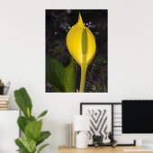 Skunk Cabbage - Kunstdrucken Poster (Heimbüro)